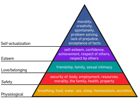 Msow Hierarchy of Needs