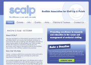Scottish Association for Cleft Lip & Palate - 3rd Sector Website from Inspire 